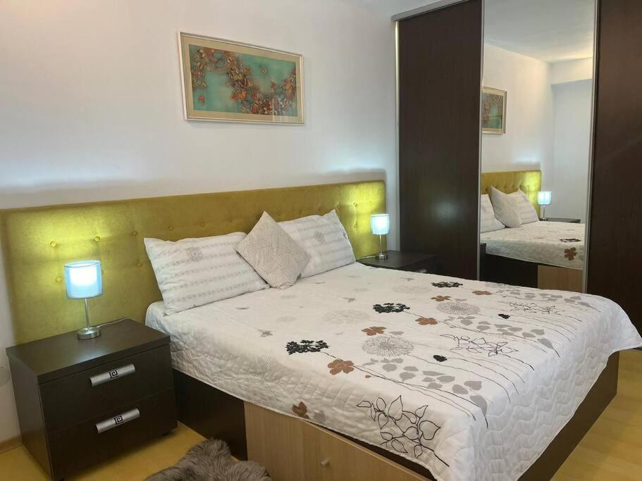 Apartament Theta- Langa Centru, Cada Hidromasaj Suczawa Zewnętrze zdjęcie
