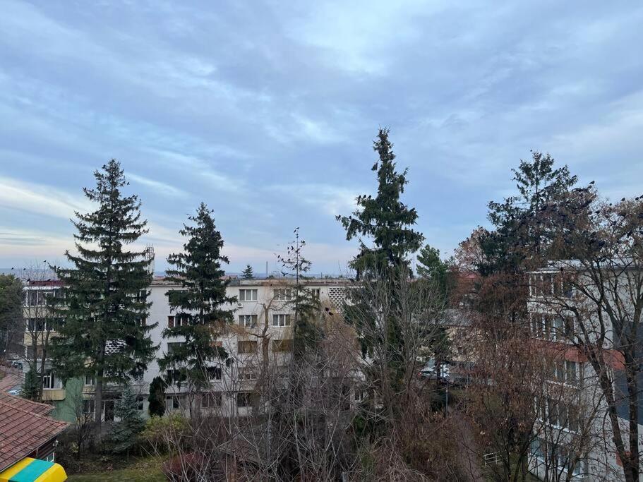 Apartament Theta- Langa Centru, Cada Hidromasaj Suczawa Zewnętrze zdjęcie